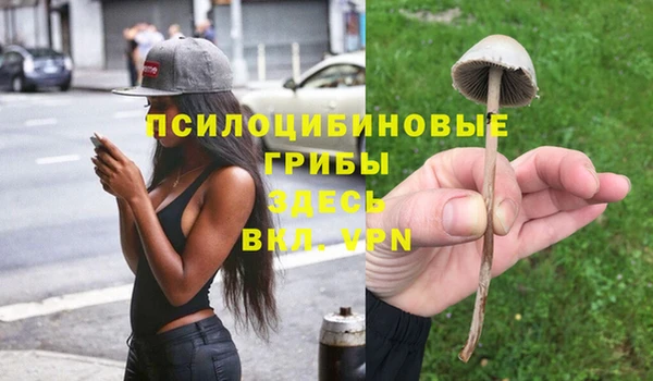 дживик Лабытнанги