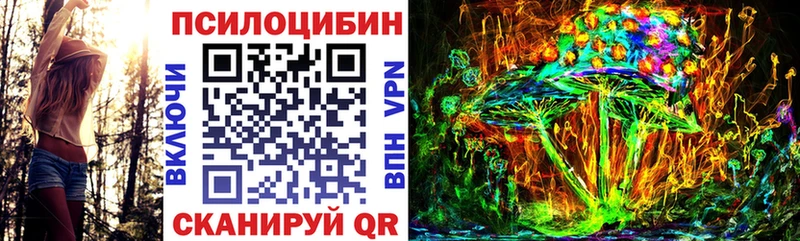 Галлюциногенные грибы GOLDEN TEACHER что такое Чегем
